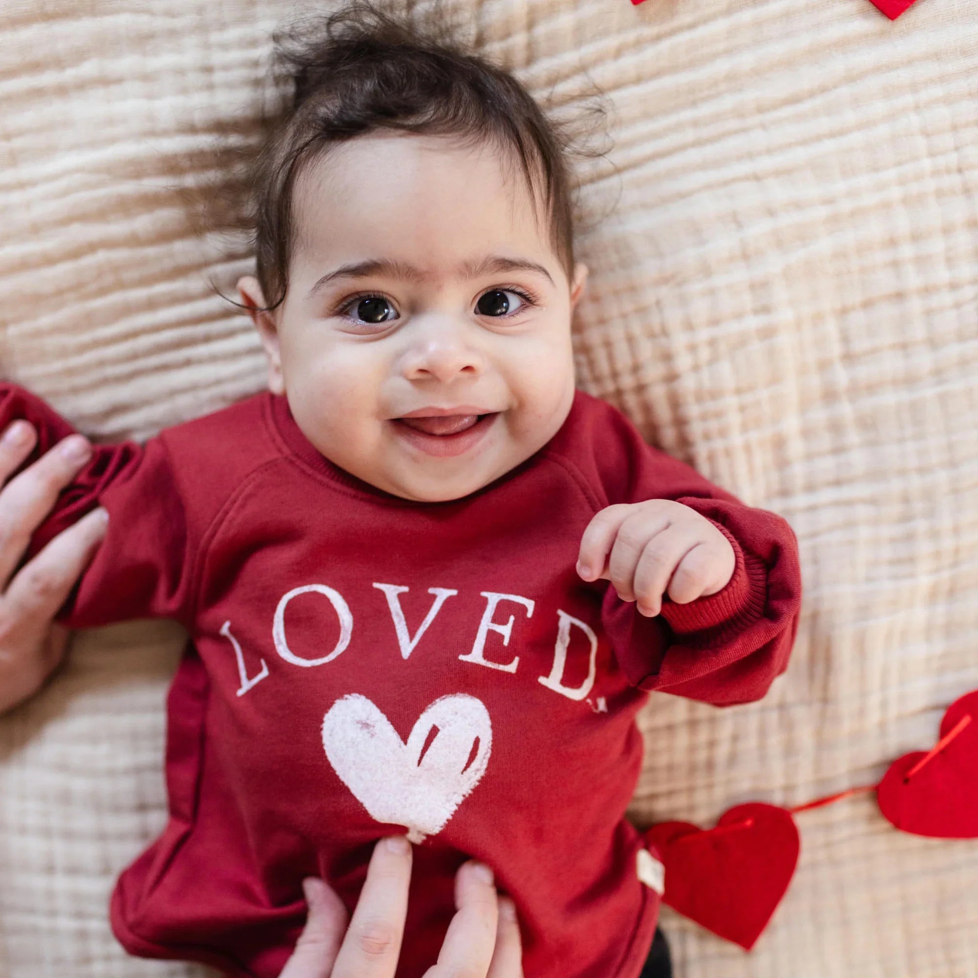 Burt's Bees Organic Baby & Toddler Sweatshirt Loved