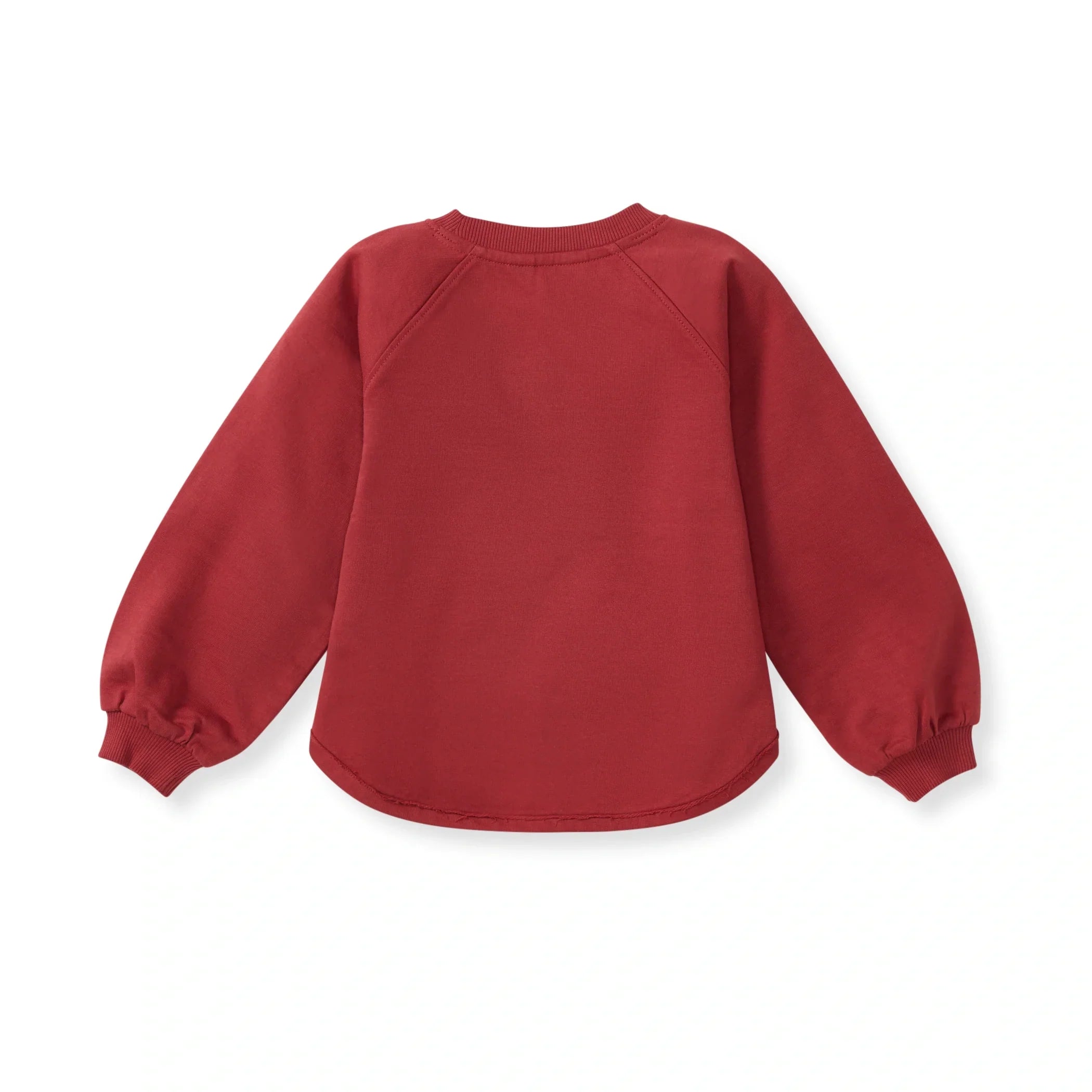 Burt's Bees Organic Baby & Toddler Sweatshirt Loved