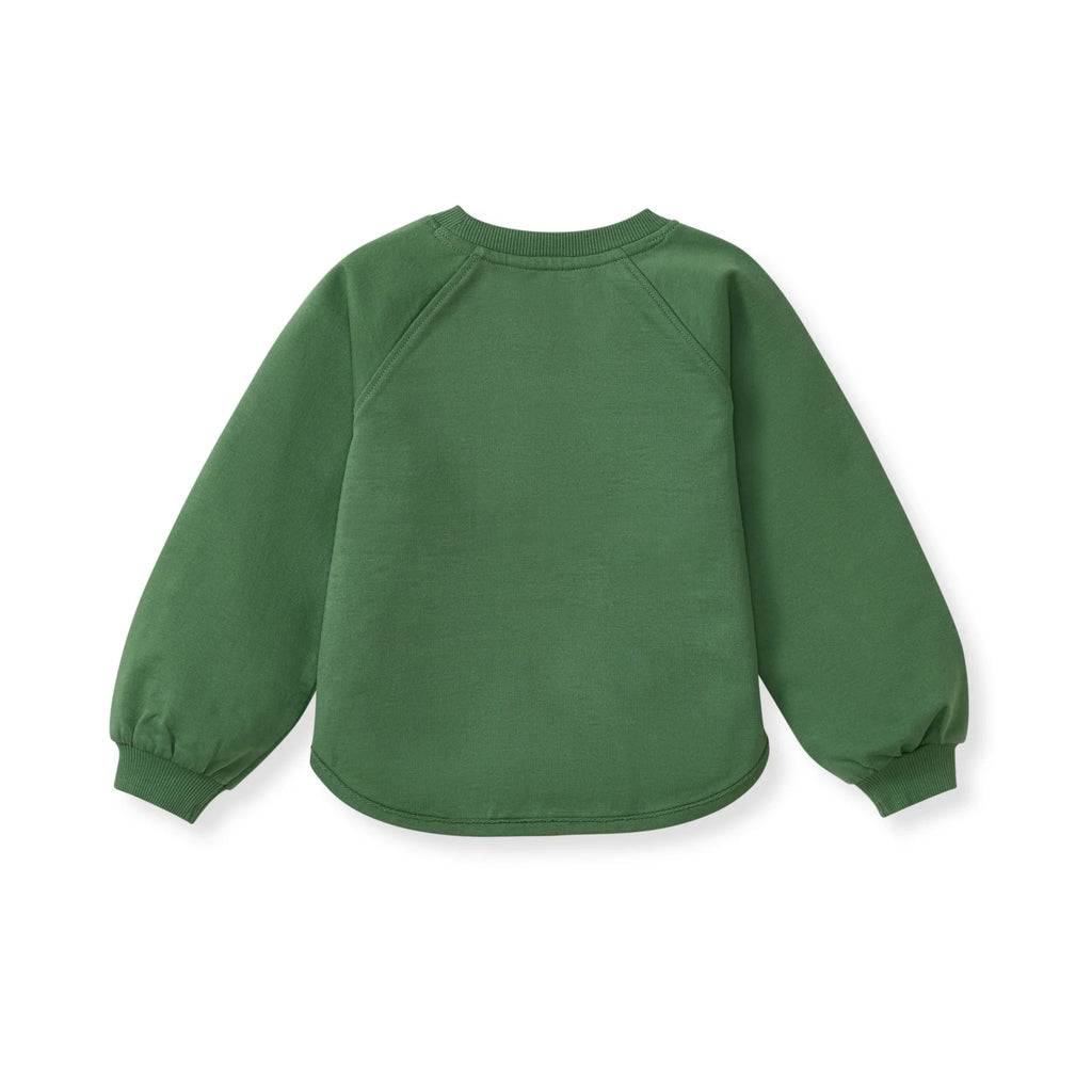 Burt's Bees Organic Baby & Toddler Sweatshirt Charmed Green
