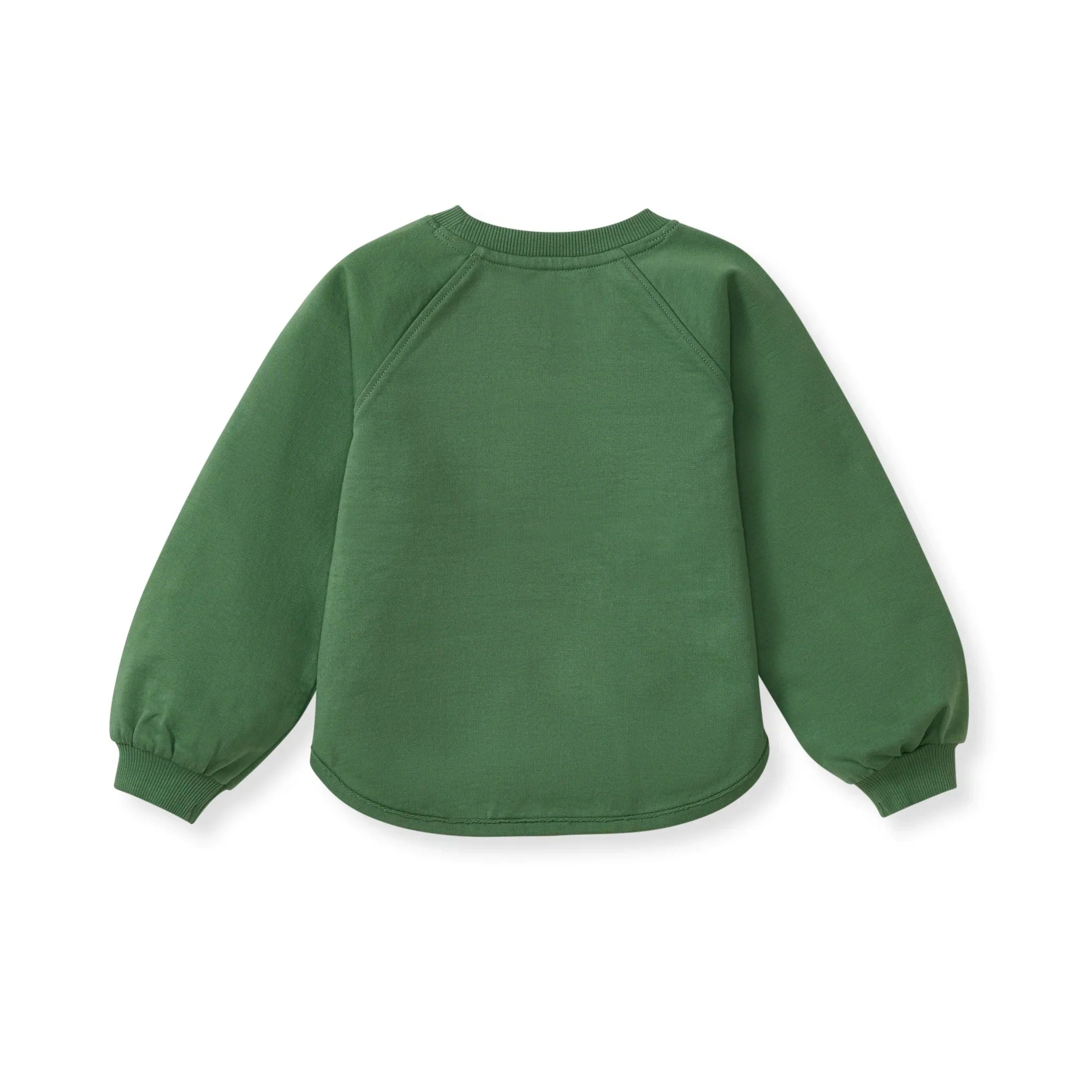 Burt's Bees Organic Baby & Toddler Sweatshirt Charmed Green