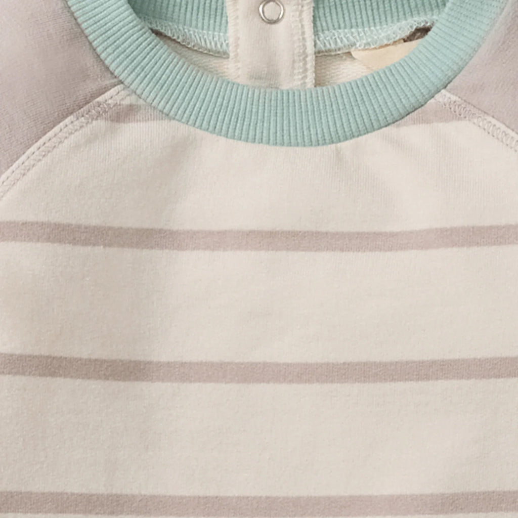 Burt's Bees Organic Baby Jumpsuit Basic Stripe