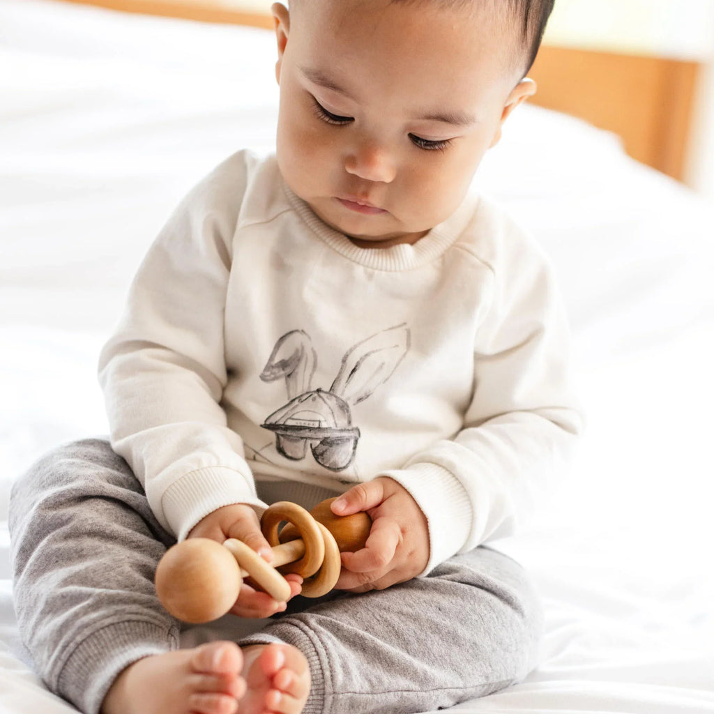 Burt's Bees Organic Baby & Toddler Sweatshirt & Pants Set Hip Hop Bunny