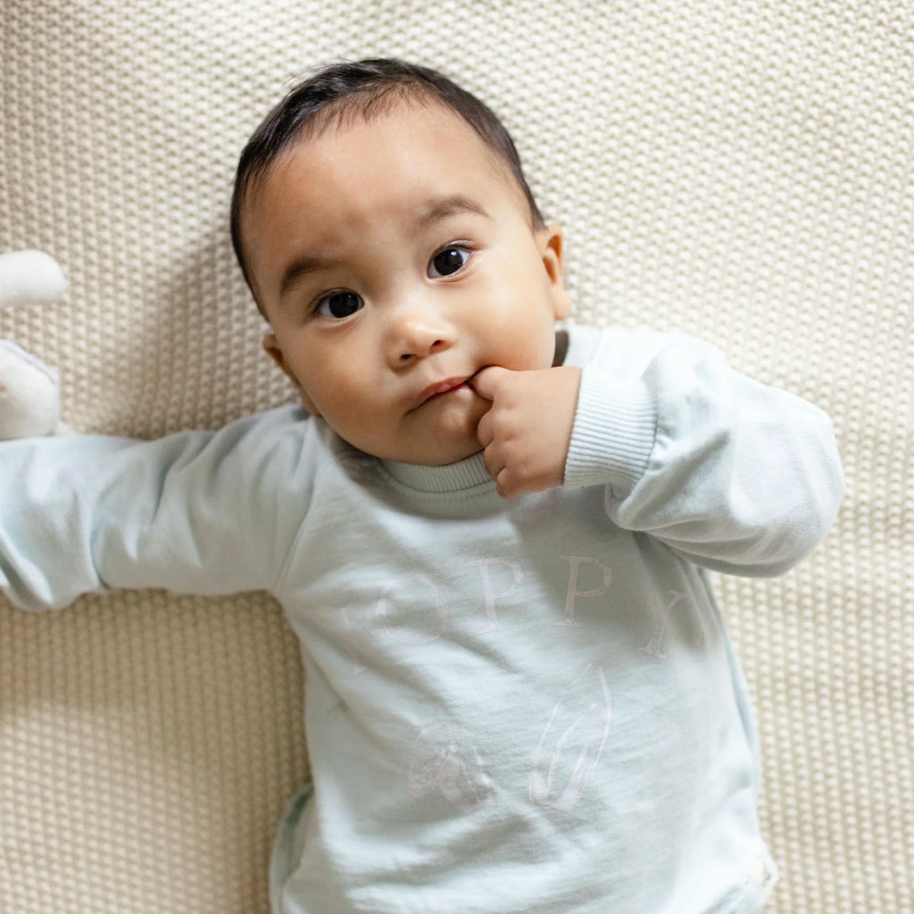 Burt's Bees Organic Baby & Toddler Sweatshirt Hoppy Blue