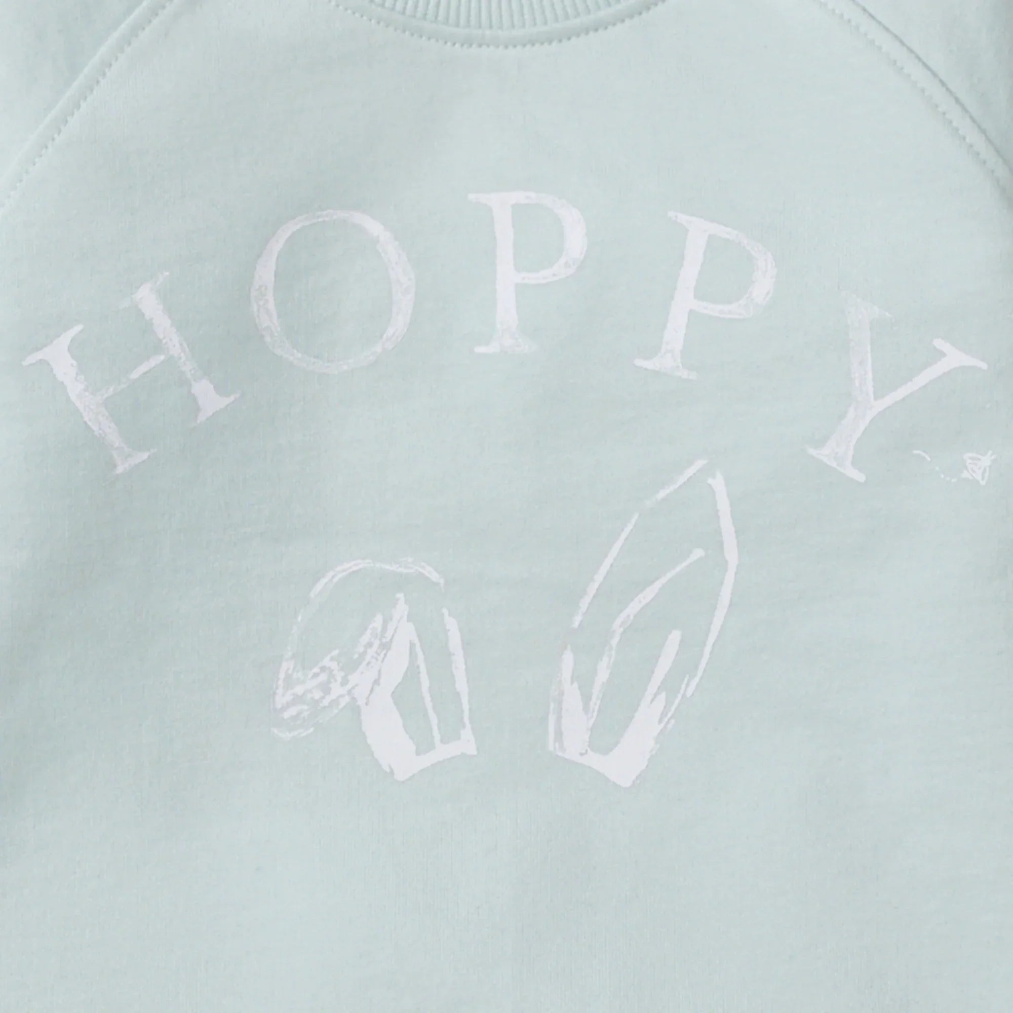 Burt's Bees Organic Baby & Toddler Sweatshirt Hoppy Blue