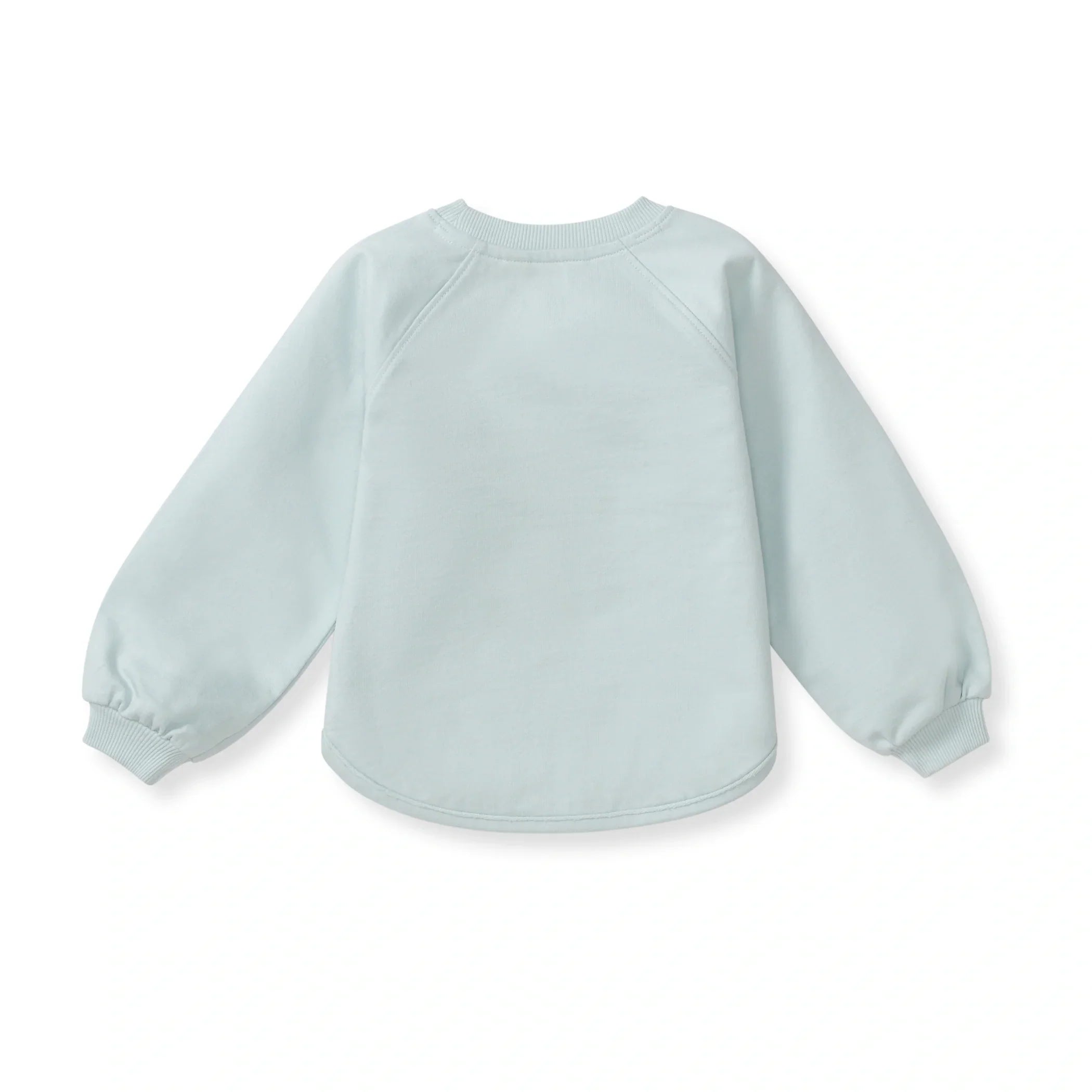 Burt's Bees Organic Baby & Toddler Sweatshirt Hoppy Blue