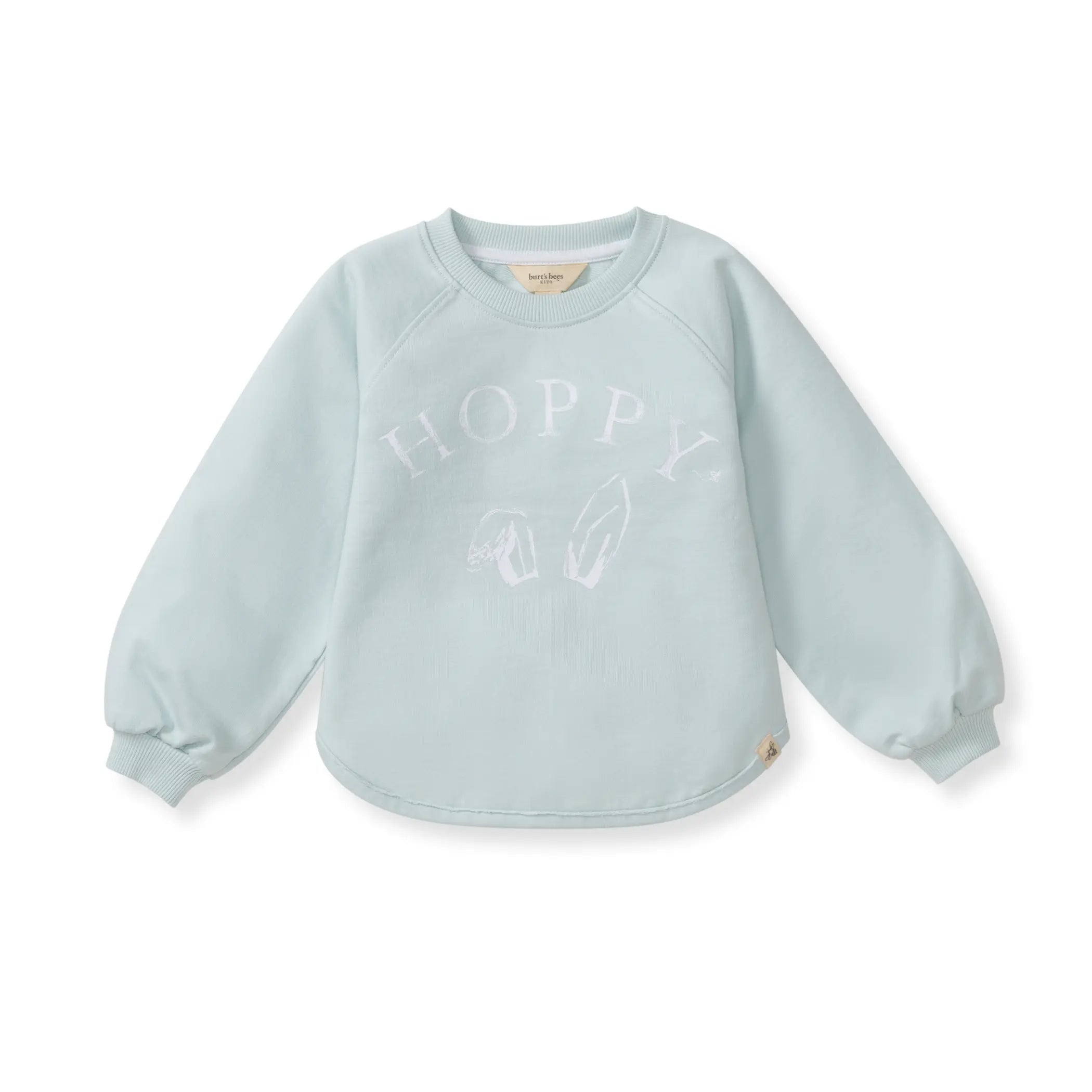 Burt's Bees Organic Baby & Toddler Sweatshirt Hoppy Blue