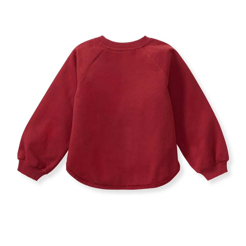 Burt's Bees Organic Baby & Toddler Sweatshirt Believe
