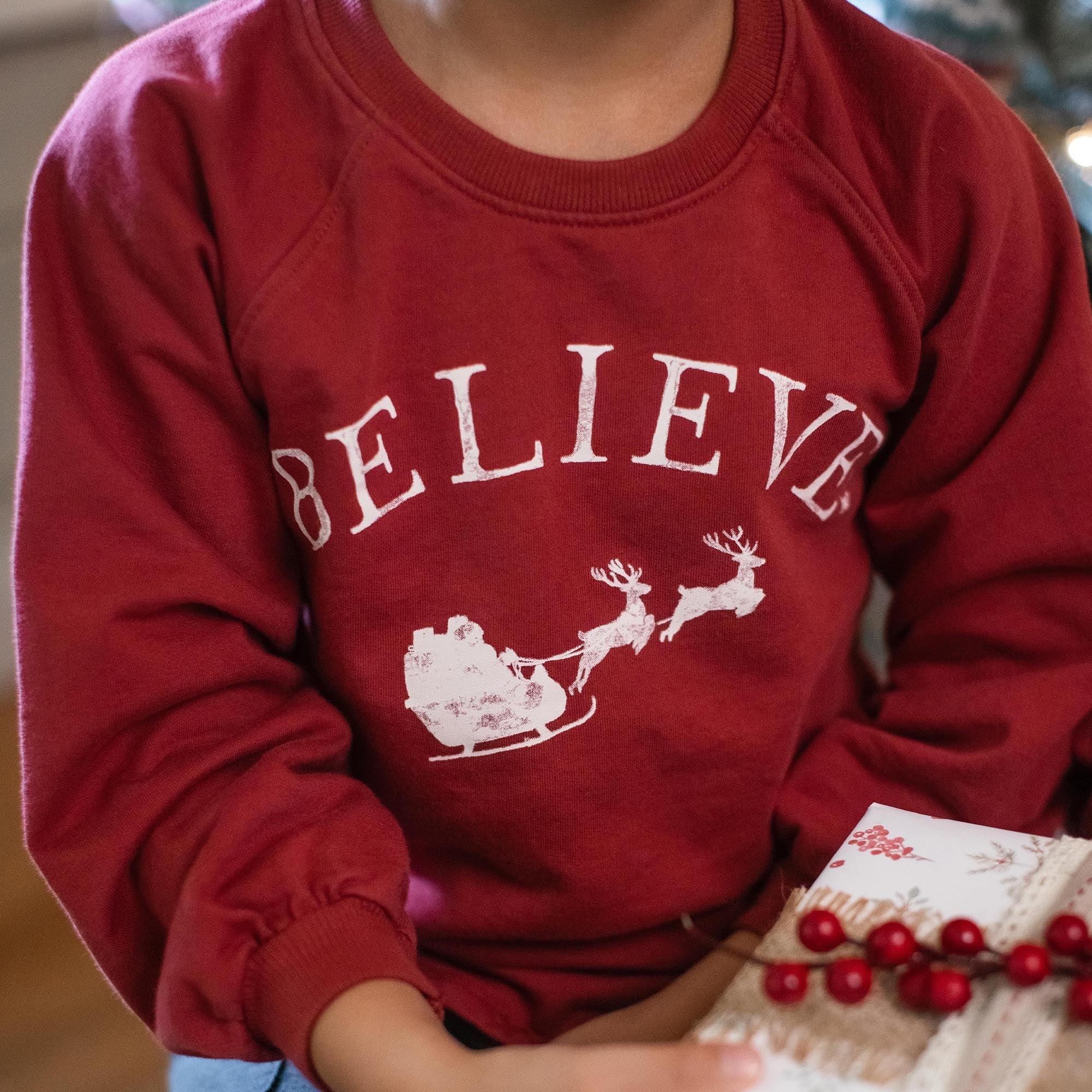 Burt's Bees Organic Baby & Toddler Sweatshirt Believe